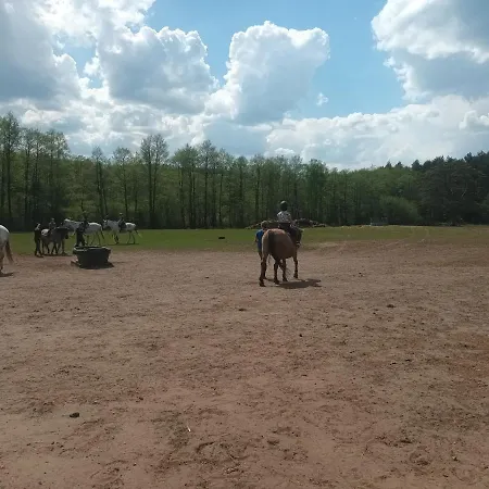Domki U Moni I Bartka Sasino